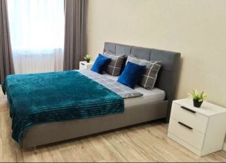 Сдаю однокомнатную квартиру, 49 м2, Краснодар, Кожевенная улица, 26, Западный округ
