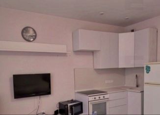 Продажа квартиры студии, 10.5 м2, Москва, 3-я Парковая улица, 14А, ВАО