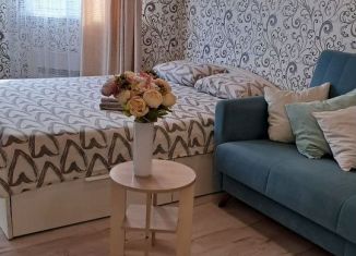 Аренда квартиры студии, 35 м2, Республика Башкортостан, улица Генерала Кусимова, 19/1