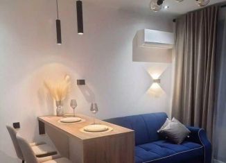 Сдаю в аренду 1-комнатную квартиру, 30 м2, Москва, Окружной проезд, 10Б, ВАО