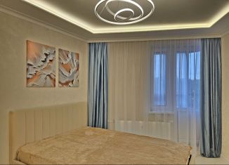 Сдается в аренду квартира студия, 22 м2, Ломоносов, Михайловская улица, 51