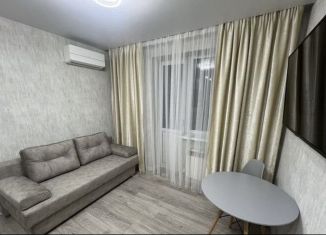 Квартира на продажу студия, 23 м2, Ростов-на-Дону, Батуринская улица, 167/16