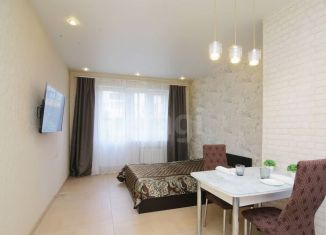 Квартира на продажу студия, 28 м2, село Осиновая Гора, 1-й Восточный проезд, 8