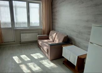 Сдаю в аренду квартиру студию, 28 м2, деревня Афонино, Академическая улица, 12