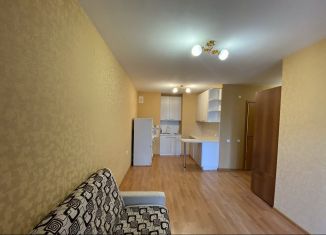 Продаю квартиру студию, 24.5 м2, Петрозаводск, улица Энтузиастов, 17