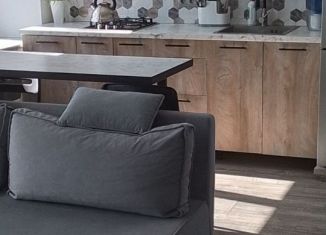 Сдается в аренду квартира студия, 31 м2, Республика Башкортостан, улица Аксакова, 7