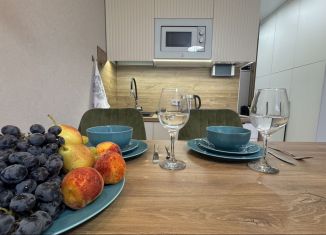 Сдаю в аренду квартиру студию, 25 м2, Сочи, Ясногорская улица, 16/8к2