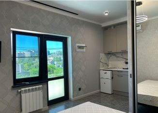 Сдается в аренду квартира студия, 22 м2, Сочи, Виноградная улица, 133/5