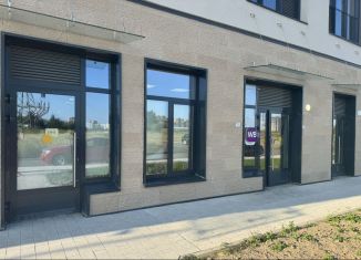 Помещение свободного назначения в аренду, 79 м2, Санкт-Петербург, улица Типанова, 22