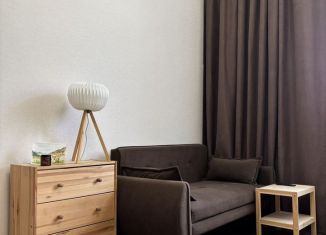 Сдам квартиру студию, 17 м2, Санкт-Петербург, Московский проспект, 163к2