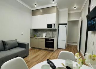 Сдам 1-ком. квартиру, 39.8 м2, Краснодар, Черниговская улица, 1