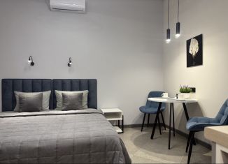 Сдаю в аренду квартиру студию, 23 м2, Благовещенск, Зейская улица, 206/1