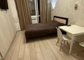 Квартира в аренду студия, 22 м2, Улан-Удэ, улица Цивилева, 34