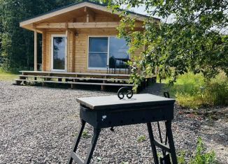 Сдается в аренду дом, 50 м2, деревня острова Лункулансаари, Озёрная улица, 16