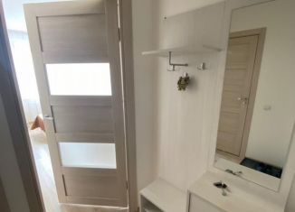 Однокомнатная квартира в аренду, 31 м2, Санкт-Петербург, Русановская улица, 18к1