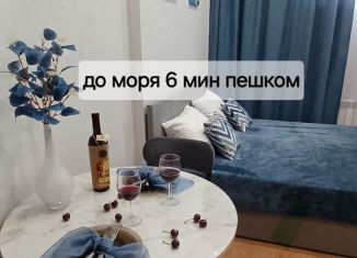 Сдача в аренду квартиры студии, 21 м2, Геленджик, Туристическая улица, 4Гк2А, ЖК Горизонт