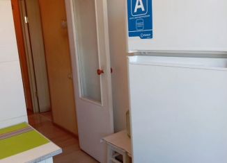 Сдам в аренду 2-ком. квартиру, 45 м2, Екатеринбург, улица Данилы Зверева, 10А