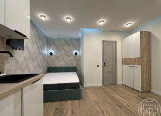 Аренда квартиры студии, 20 м2, Санкт-Петербург, переулок Пирогова, 17