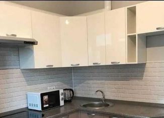 Сдается в аренду 1-комнатная квартира, 40 м2, Москва, Амурская улица, 1Ак1, ВАО