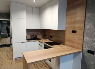 Сдается в аренду квартира студия, 32 м2, Москва, Тюменский проезд, 3к1, ВАО