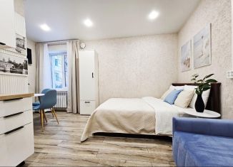 Сдам в аренду квартиру студию, 20 м2, Санкт-Петербург, улица Писарева, 1/118Б