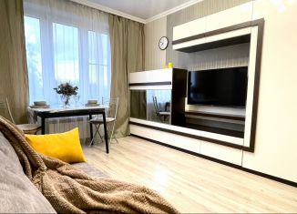Сдается однокомнатная квартира, 37 м2, Москва, улица Рокотова, 4к2, ЮЗАО