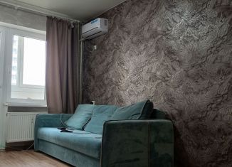 Сдается в аренду квартира студия, 25 м2, Ростов-на-Дону, улица Тимофеева, 14к1, ЖК Платовский