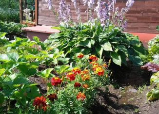 Продам дом, 35 м2, Первоуральск