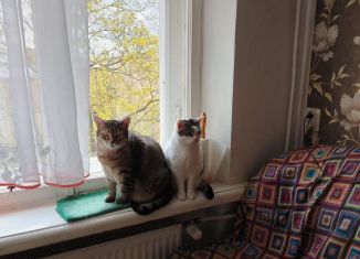 Продажа двухкомнатной квартиры, 57.6 м2, Санкт-Петербург, улица Союза Печатников, 6, Адмиралтейский район