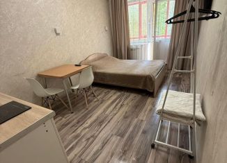 Сдача в аренду квартиры студии, 24 м2, Улан-Удэ, улица Цивилева, 34