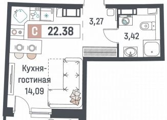 Продается квартира студия, 22.4 м2, Мурино, ЖК Авиатор