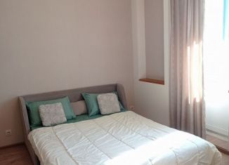 Сдаю в аренду квартиру студию, 23.9 м2, Мурино, бульвар Менделеева, 1, ЖК Виктория