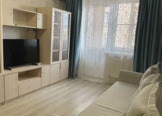 Сдача в аренду 1-ком. квартиры, 35 м2, Краснодар, Ангарская улица, 2/1, Музыкальный микрорайон