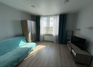 Продается квартира студия, 28 м2, Лыткарино, 6-й микрорайон, 15Д