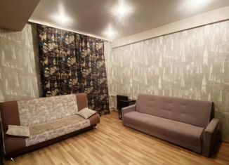 Сдается 1-комнатная квартира, 43.1 м2, Новосибирск, Ленинский район, 3-й переулок Крашенинникова, 5