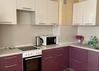 Сдам в аренду 1-ком. квартиру, 40 м2, посёлок Парголово, Заречная улица, 45к2