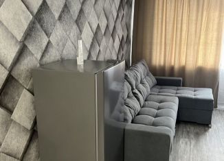Продам квартиру студию, 18 м2, Нижний Новгород, метро Горьковская, улица Бекетова, 8А