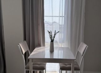 Сдача в аренду квартиры студии, 40 м2, Сочи, Бакинская улица, 18/1, микрорайон Верхнеимеретинская Бухта