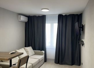 Квартира в аренду студия, 25 м2, Екатеринбург, Советская улица, 62Б, ЖК Цветной Бульвар