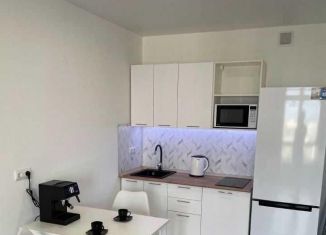 Двухкомнатная квартира в аренду, 41 м2, Москва, Амурская улица, 2Ак2, ВАО