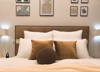 Сдача в аренду 1-комнатной квартиры, 45 м2, Республика Башкортостан, Революционная улица, 39/3