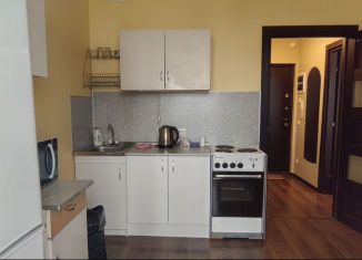 Сдам в аренду 1-ком. квартиру, 32 м2, Санкт-Петербург, Плесецкая улица, 20к1