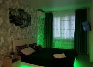 Сдаю в аренду 1-комнатную квартиру, 33 м2, Краснодар, Тепличная улица, 62/1к3