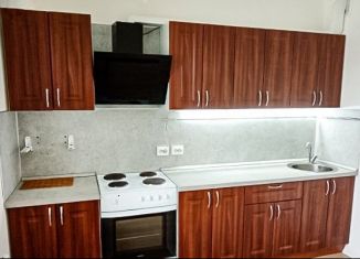 Сдается 1-ком. квартира, 37.1 м2, Санкт-Петербург, Архивная улица, 11к3