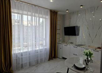 Однокомнатная квартира в аренду, 36 м2, Республика Башкортостан, Заводская улица, 20