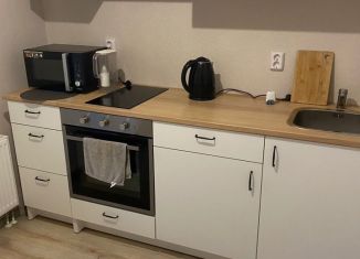 Сдается в аренду однокомнатная квартира, 33 м2, Санкт-Петербург, Пулковское шоссе, 42к6