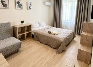 Аренда двухкомнатной квартиры, 50 м2, Республика Башкортостан, улица Испытателей, 21