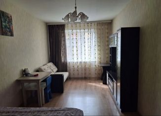 Сдается в аренду 1-комнатная квартира, 41.6 м2, Санкт-Петербург, Советский проспект, Невский район
