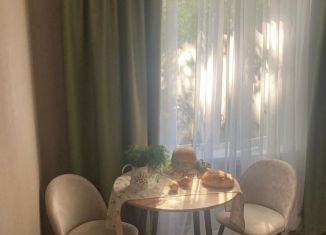 Двухкомнатная квартира на продажу, 46 м2, Санкт-Петербург, Дальневосточный проспект, 82к1, Дальневосточный проспект