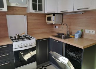 Сдаю в аренду 2-ком. квартиру, 43 м2, Санкт-Петербург, проспект Науки, 49